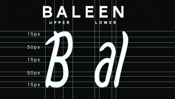 Baleen week one 1